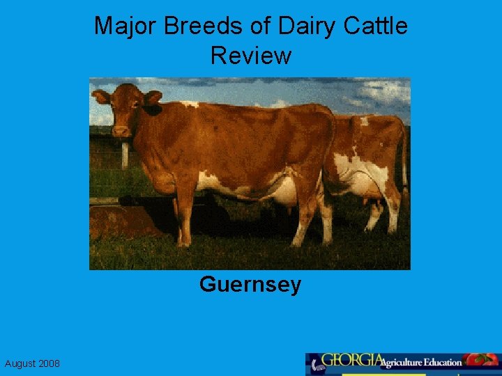 Major Breeds of Dairy Cattle Review Guernsey August 2008 