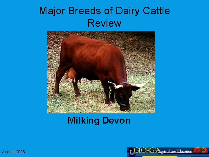 Major Breeds of Dairy Cattle Review Milking Devon August 2008 