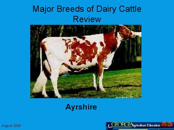 Major Breeds of Dairy Cattle Review Ayrshire August 2008 