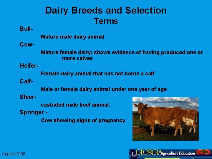 Dairy Breeds and Selection Terms Bull. Mature male dairy animal Cow. Mature female dairy;