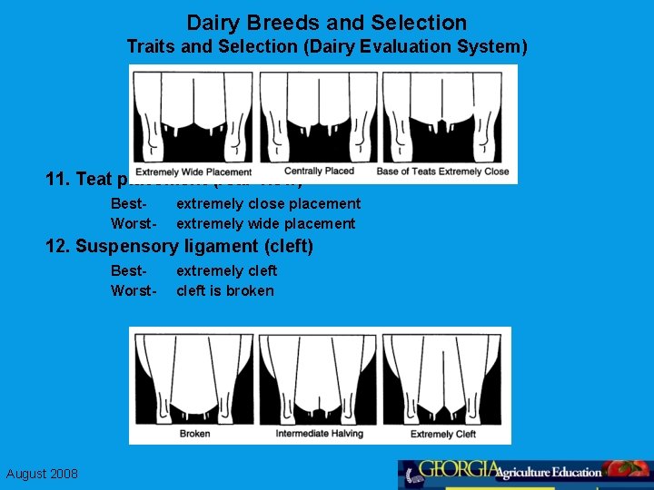Dairy Breeds and Selection Traits and Selection (Dairy Evaluation System) 11. Teat placement (rear