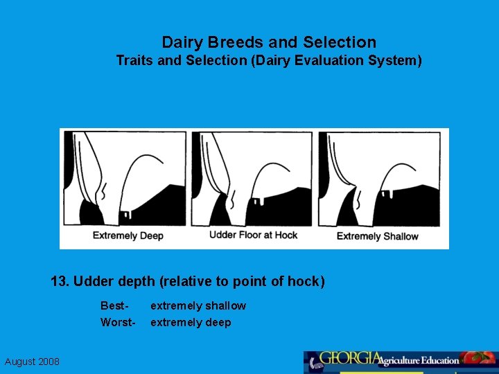 Dairy Breeds and Selection Traits and Selection (Dairy Evaluation System) 13. Udder depth (relative