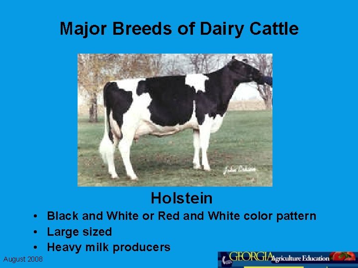 Major Breeds of Dairy Cattle Holstein • Black and White or Red and White