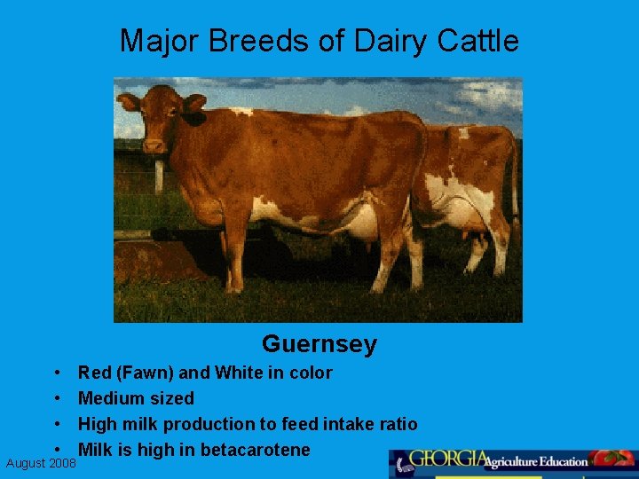 Major Breeds of Dairy Cattle Guernsey • • August 2008 Red (Fawn) and White