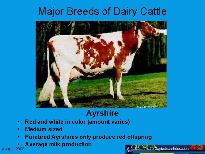 Major Breeds of Dairy Cattle Ayrshire • • August 2008 Red and white in