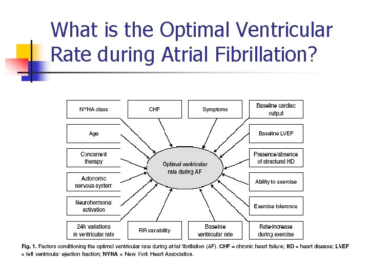 What is the Optimal Ventricular Rate during Atrial Fibrillation? 