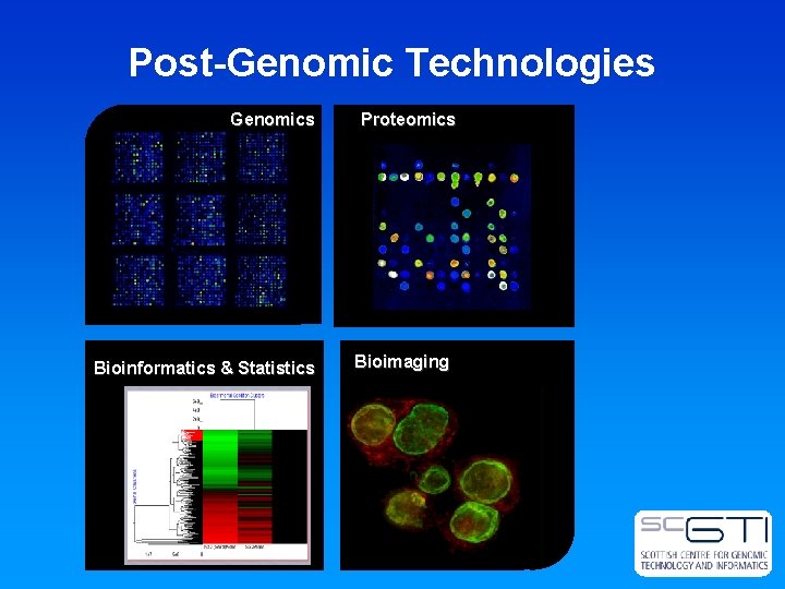 Post-Genomic Technologies Genomics Bioinformatics & Statistics Proteomics Bioimaging 