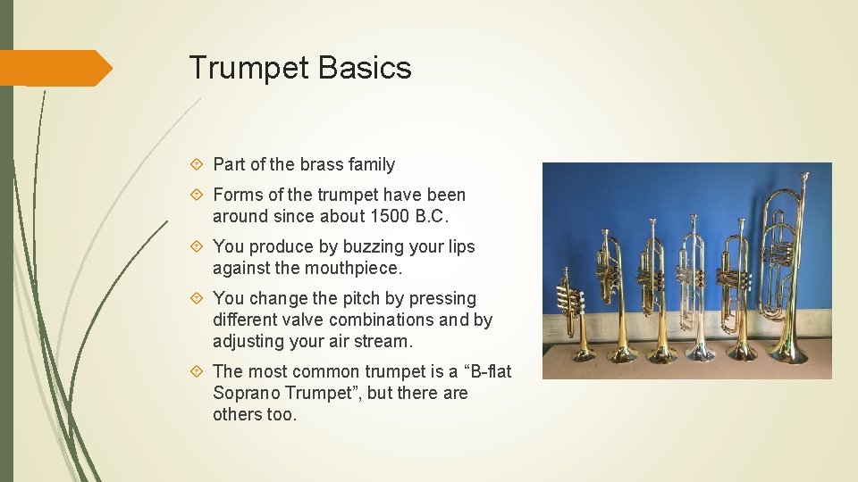 Trumpet Basics Part of the brass family Forms of the trumpet have been around