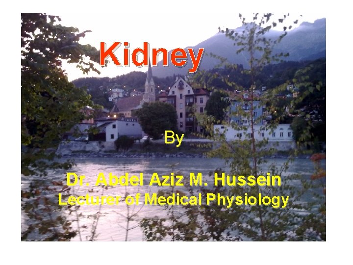 Kidney By Dr. Abdel Aziz M. Hussein Lecturer of Medical Physiology 