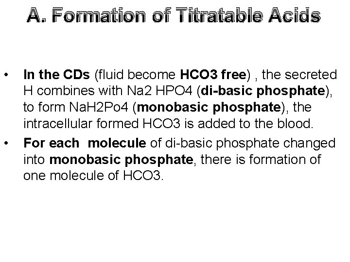 A. Formation of Titratable Acids • • In the CDs (fluid become HCO 3