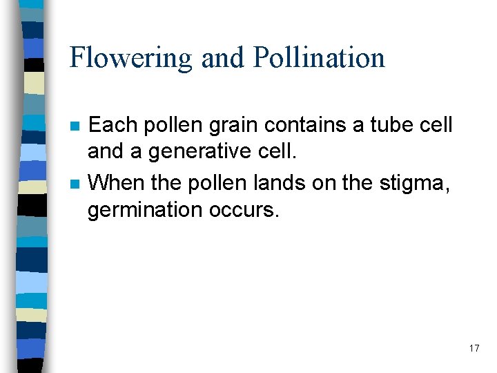 Flowering and Pollination n n Each pollen grain contains a tube cell and a