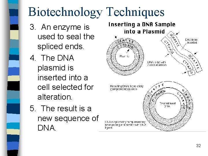 Biotechnology Techniques 3. An enzyme is used to seal the spliced ends. 4. The