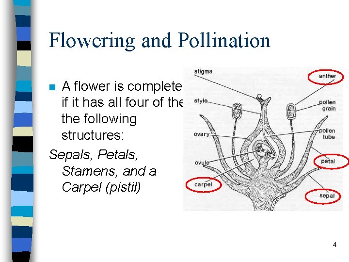 Flowering and Pollination A flower is complete if it has all four of the