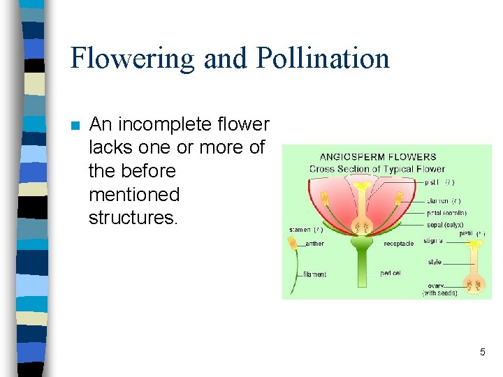 Flowering and Pollination n An incomplete flower lacks one or more of the before