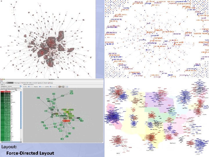 Layout: Force-Directed Layout Layout: Force-Directed Layout