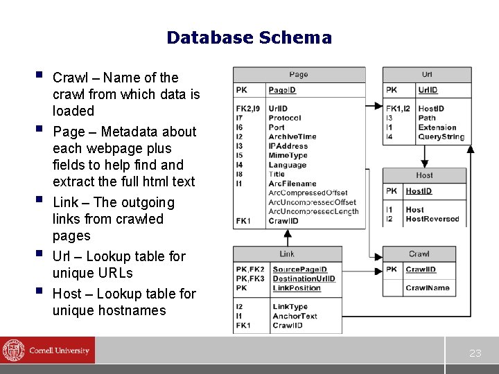 Database Schema § § § Crawl – Name of the crawl from which data