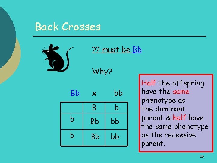 Back Crosses ? ? must be Bb Why? Bb x bb B b b