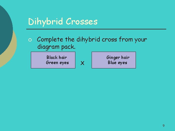 Dihybrid Crosses ¡ Complete the dihybrid cross from your diagram pack. Black hair Green