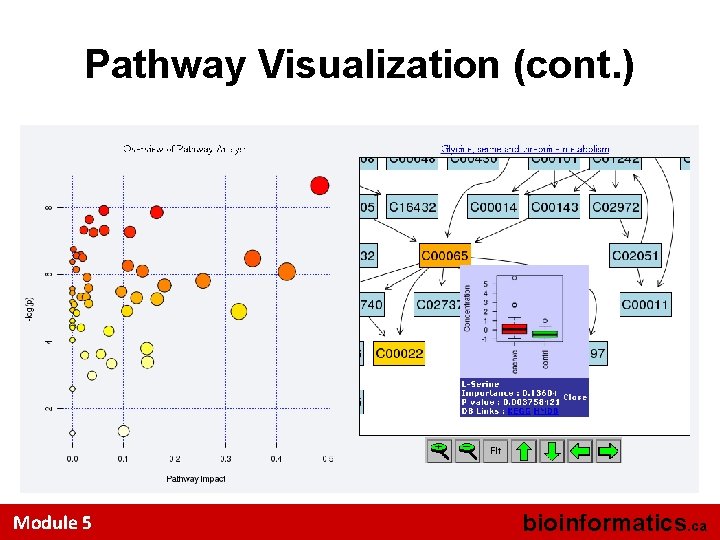 Pathway Visualization (cont. ) Module 5 bioinformatics. ca 