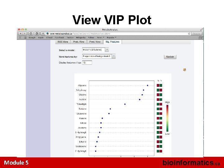 View VIP Plot Module 5 bioinformatics. ca 