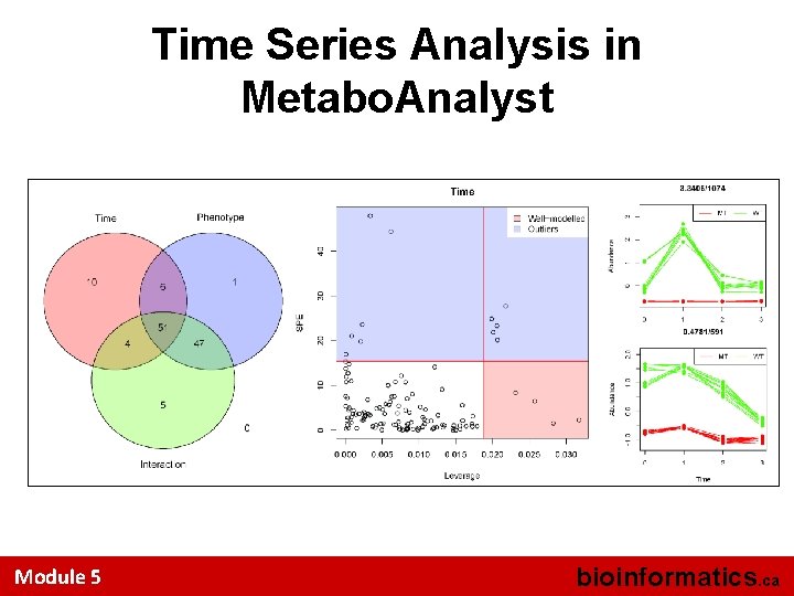 Time Series Analysis in Metabo. Analyst Module 5 bioinformatics. ca 