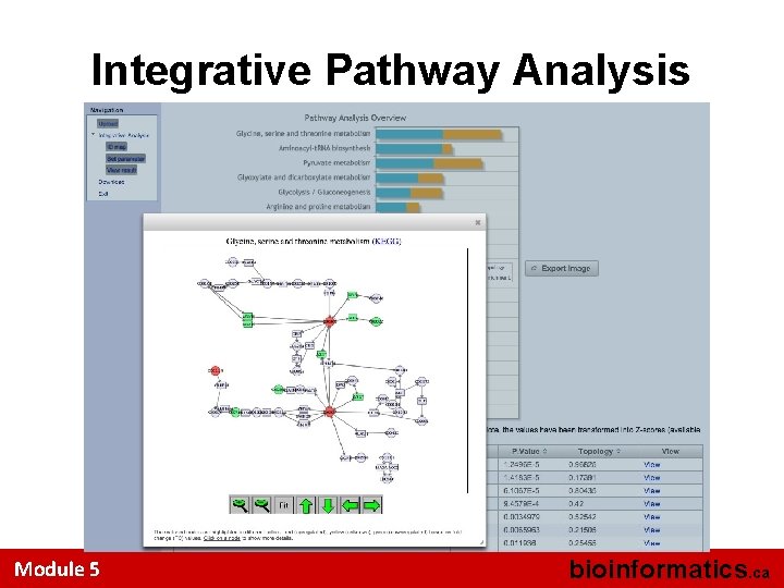 Integrative Pathway Analysis Module 5 bioinformatics. ca 
