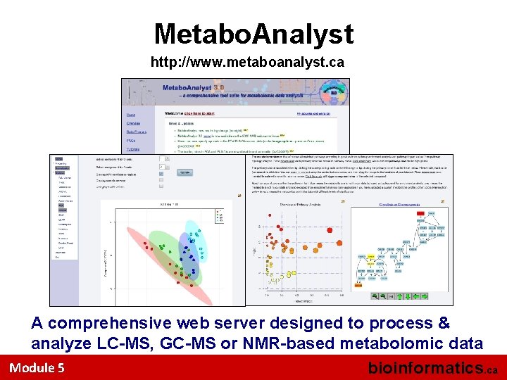 Metabo. Analyst http: //www. metaboanalyst. ca A comprehensive web server designed to process &