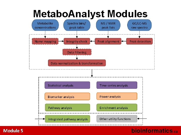 Metabo. Analyst Modules Module 5 bioinformatics. ca 