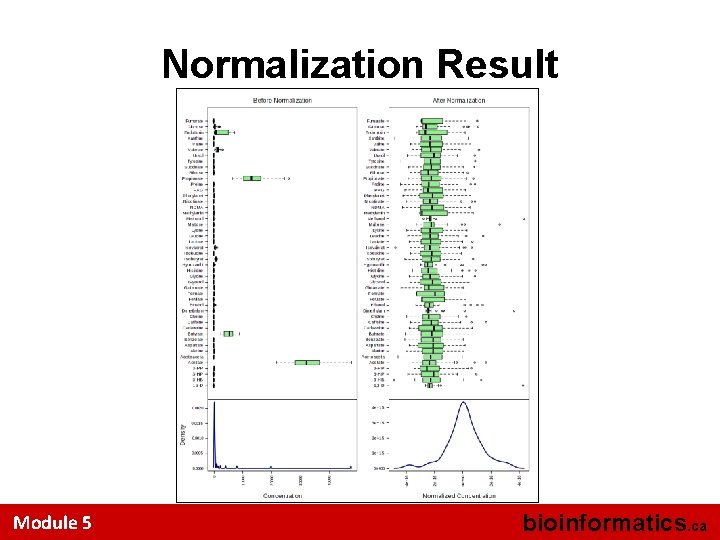 Normalization Result Module 5 bioinformatics. ca 