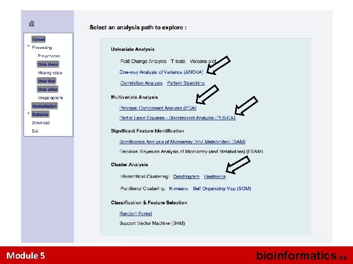 Module 5 bioinformatics. ca 