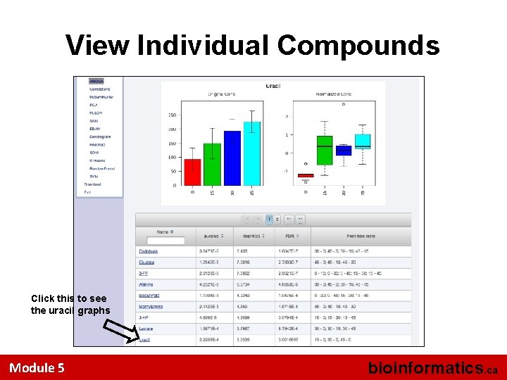 View Individual Compounds Click this to see the uracil graphs Module 5 bioinformatics. ca