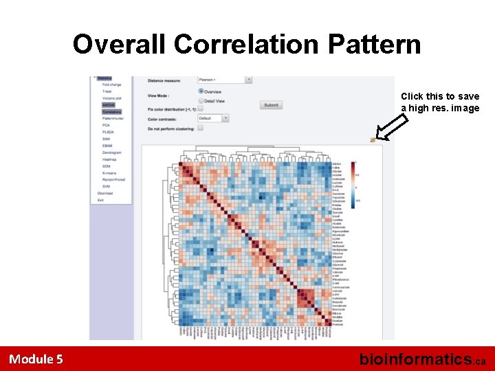 Overall Correlation Pattern Click this to save a high res. image Module 5 bioinformatics.