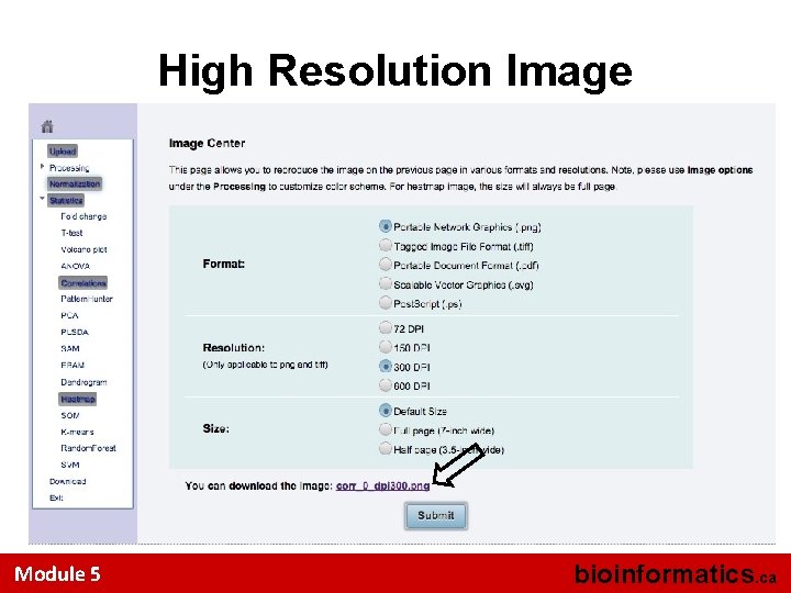 High Resolution Image Module 5 bioinformatics. ca 