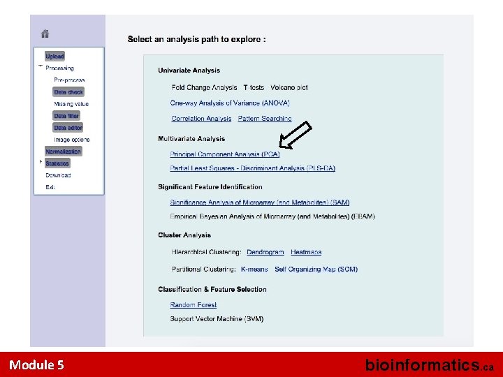 Module 5 bioinformatics. ca 