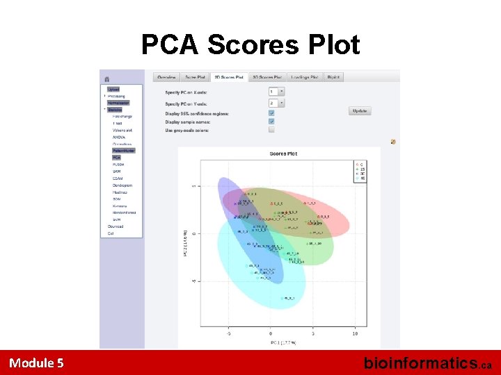 PCA Scores Plot Module 5 bioinformatics. ca 