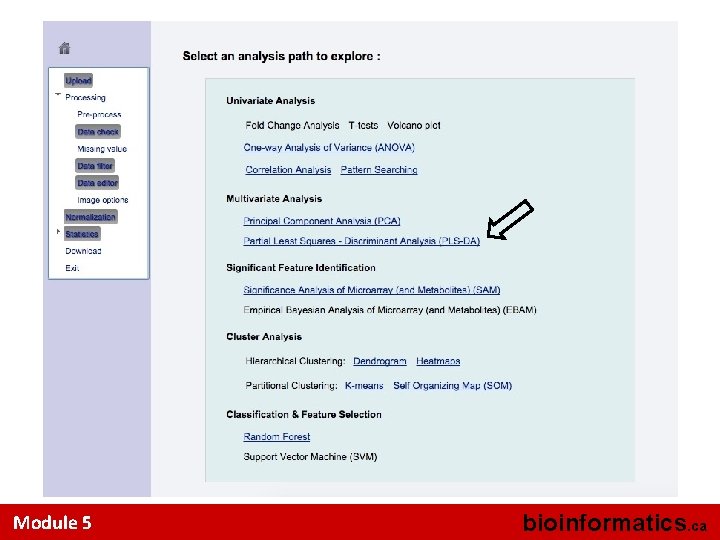 Module 5 bioinformatics. ca 