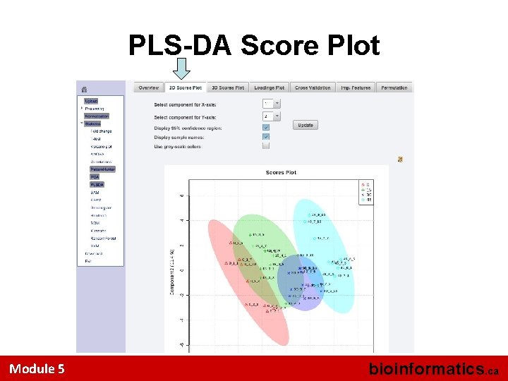 PLS-DA Score Plot Module 5 bioinformatics. ca 