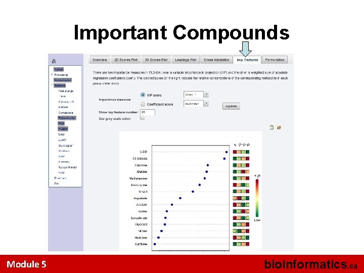 Important Compounds Module 5 bioinformatics. ca 