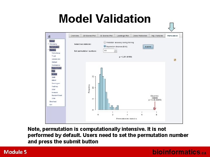 Model Validation Note, permutation is computationally intensive. It is not performed by default. Users