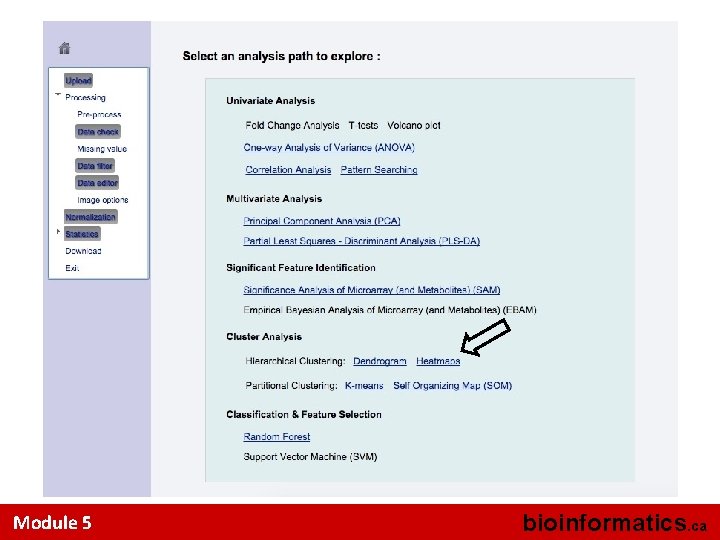 Module 5 bioinformatics. ca 