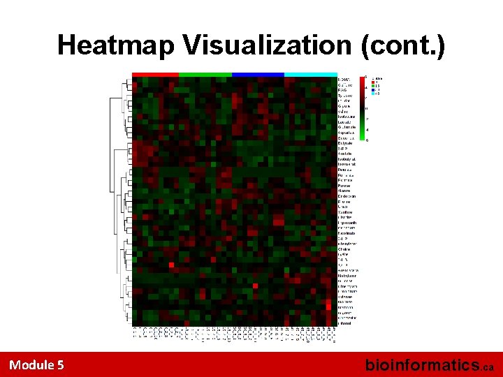 Heatmap Visualization (cont. ) Module 5 bioinformatics. ca 