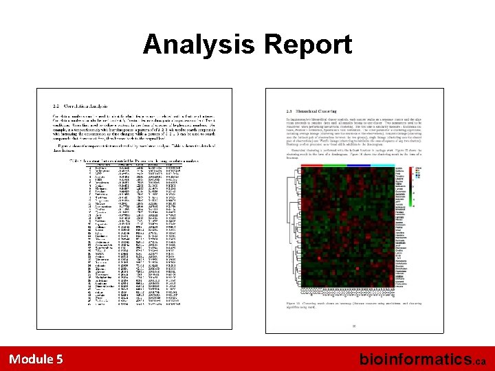 Analysis Report Module 5 bioinformatics. ca 