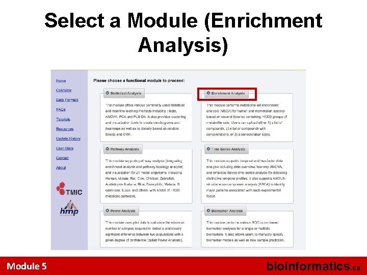 Select a Module (Enrichment Analysis) Module 5 bioinformatics. ca 