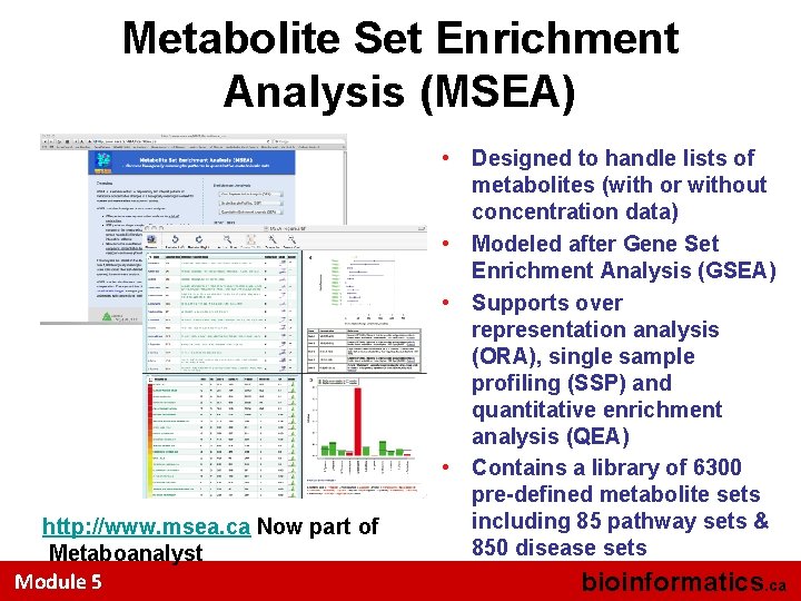 Metabolite Set Enrichment Analysis (MSEA) http: //www. msea. ca Now part of Metaboanalyst Module