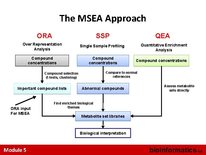 The MSEA Approach ORA SSP QEA Over Representation Analysis Single Sample Profiling Quantitative Enrichment