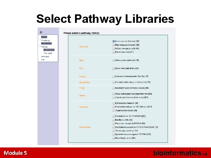 Select Pathway Libraries Module 5 bioinformatics. ca 