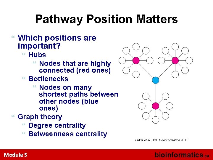 Pathway Position Matters Which positions are important? Hubs Nodes that are highly connected (red