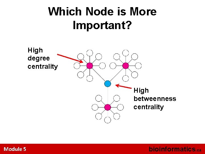 Which Node is More Important? High degree centrality High betweenness centrality Module 5 bioinformatics.