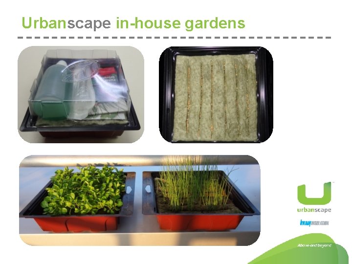 Urbanscape in-house gardens 