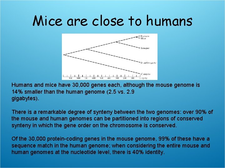 Mice are close to humans Humans and mice have 30, 000 genes each, although